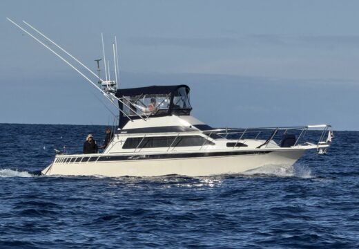 IMG_2956 IMG_2956