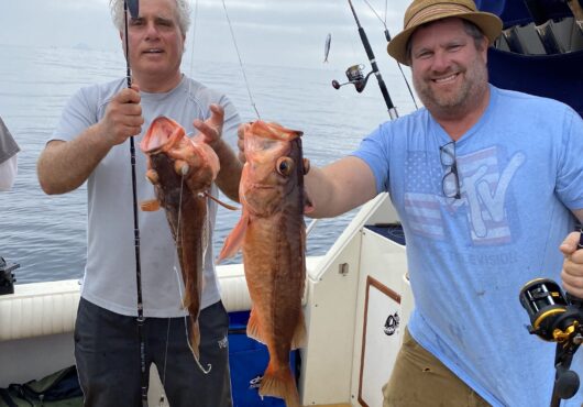 Glen-Gil Fish